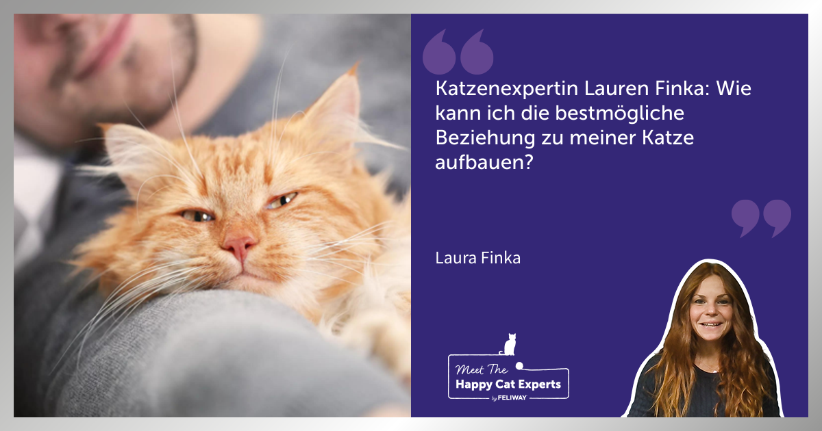 Katzenexpertin Lauren Finka: Wie kann ich die bestmögliche Beziehung zu meiner Katze aufbauen?