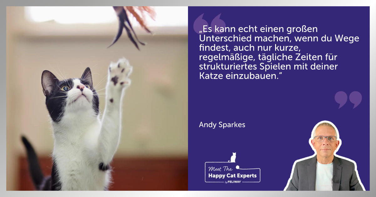 So förderst du das Wohlbefinden deiner Katze: Tipps vom Katzenexperten