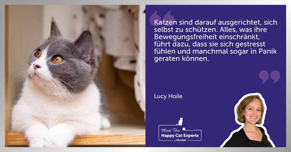 Ist es okay, deiner Katze Klamotten anzuziehen? Eine Katzenexpertin erklärt!