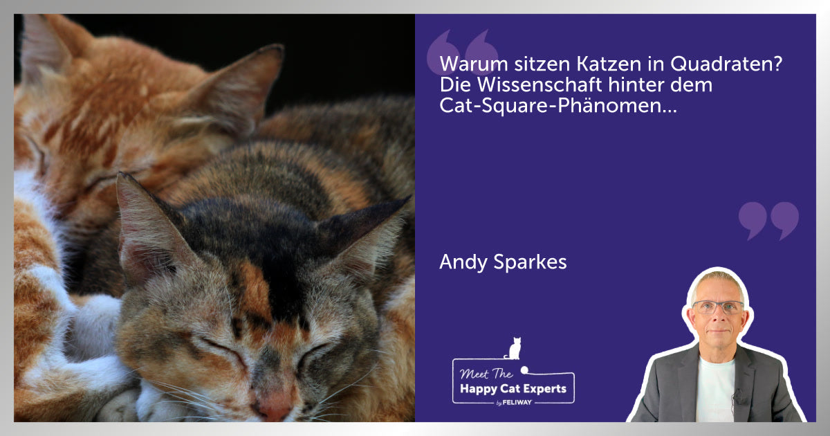 Warum sitzen Katzen in Quadraten? Die Wissenschaft hinter dem Cat-Square-Phänomen