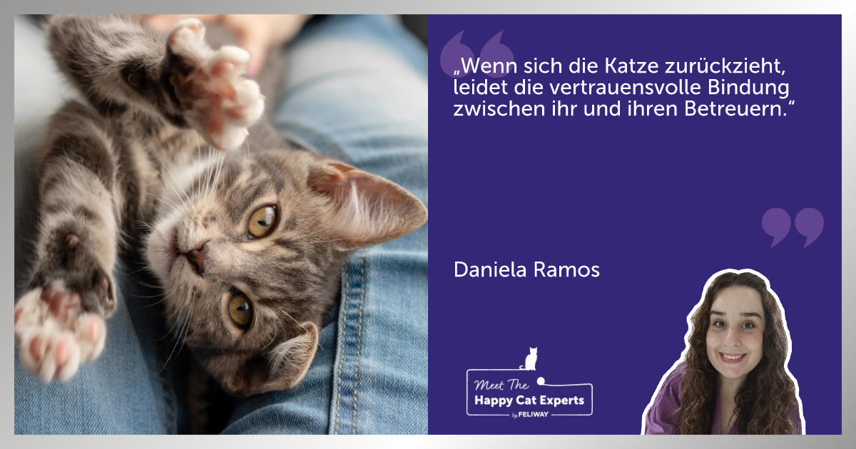 Warum wir unsere Katzen nicht bestrafen sollten: Eine Katzenexpertin erklärt!