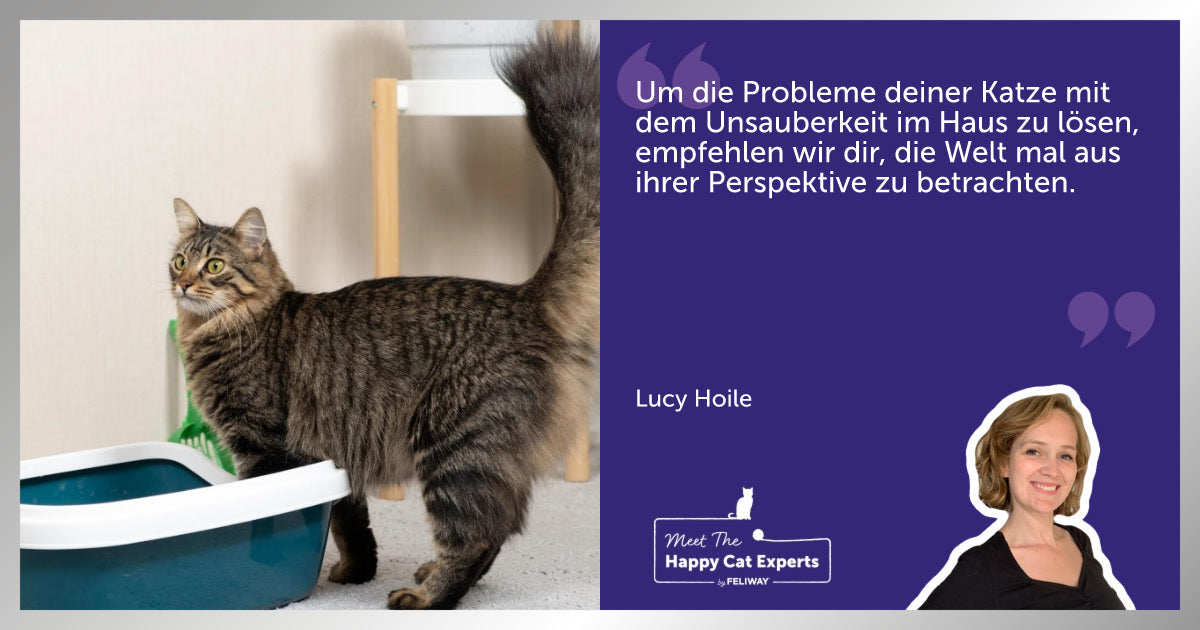 Pinkeln Katzen ins Haus, wenn sie gestresst sind? Ein Katzenexpertin erklärt