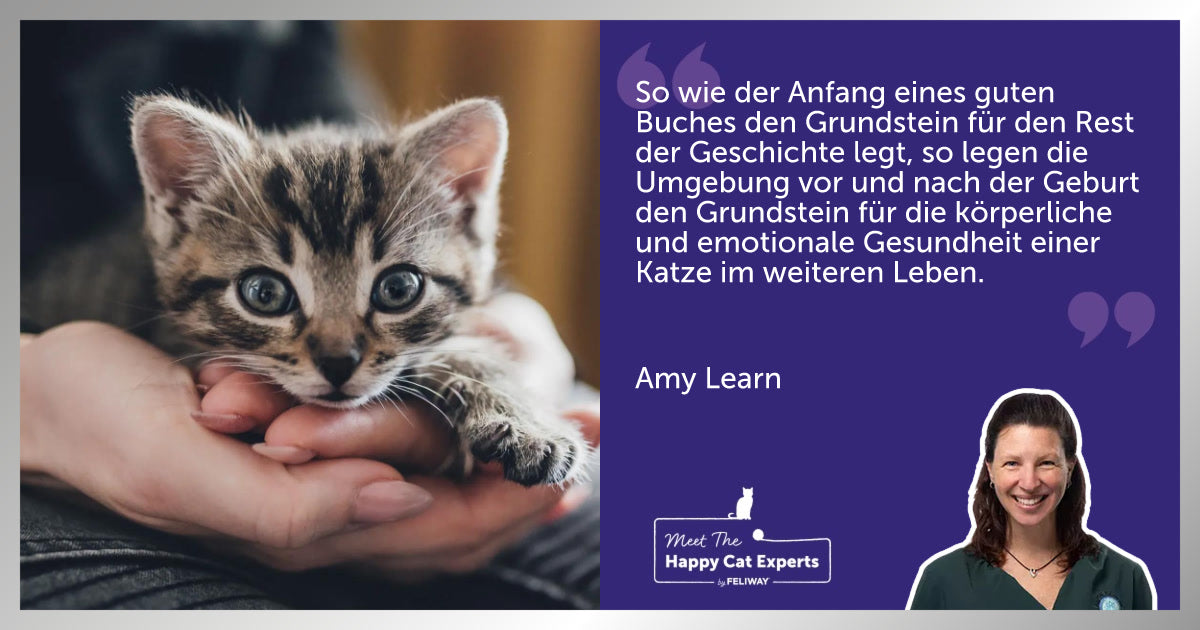 Wie die Kittenzeit das Verhalten prägt: Eine Katzenexpertin erklärt