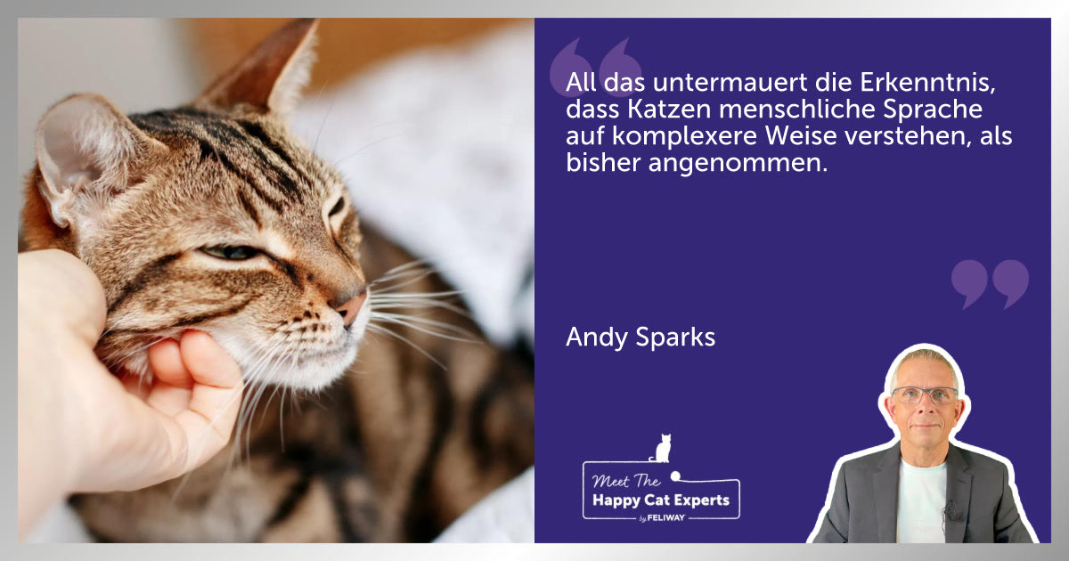 Sind Katzen intelligenter als gedacht? Ein Katzenexperte klärt auf