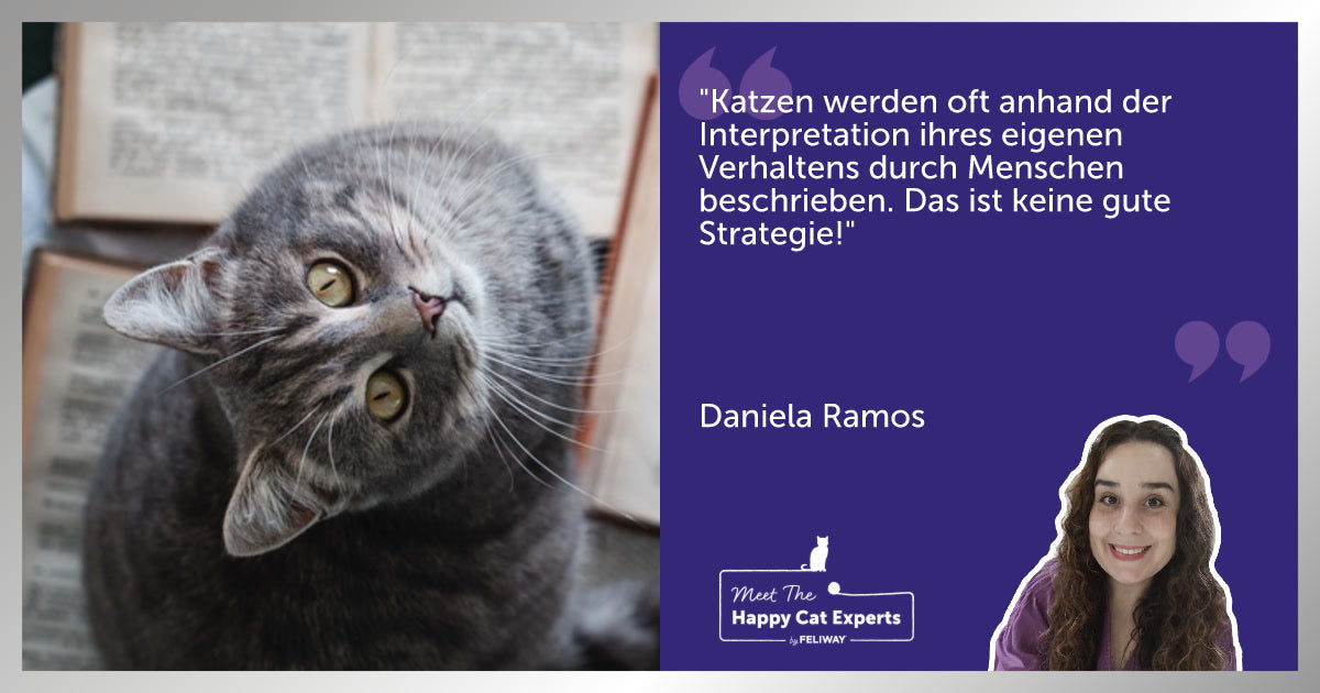 Beurteile eine Katze nie nach ihrem Äußeren: Ein Katzenxperterin erklärt!