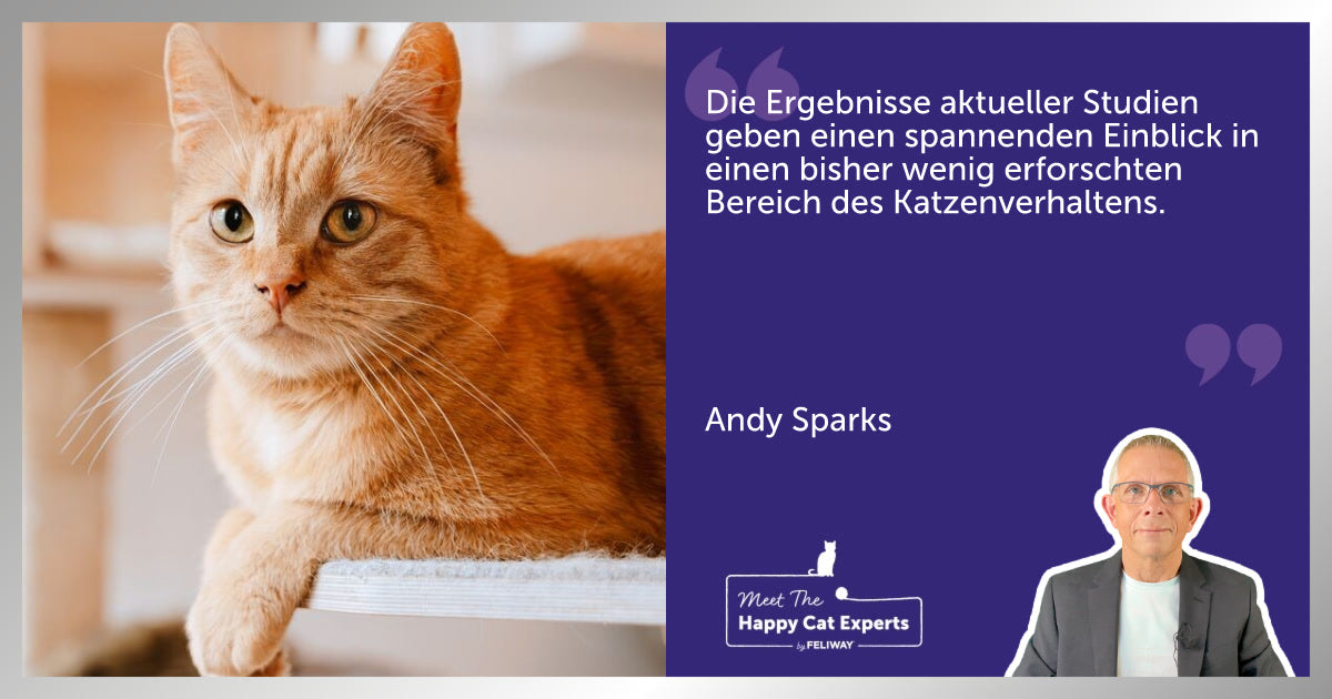 Gesichtsausdrücke meiner Katze: Ein Katzenexperte erklärt!
