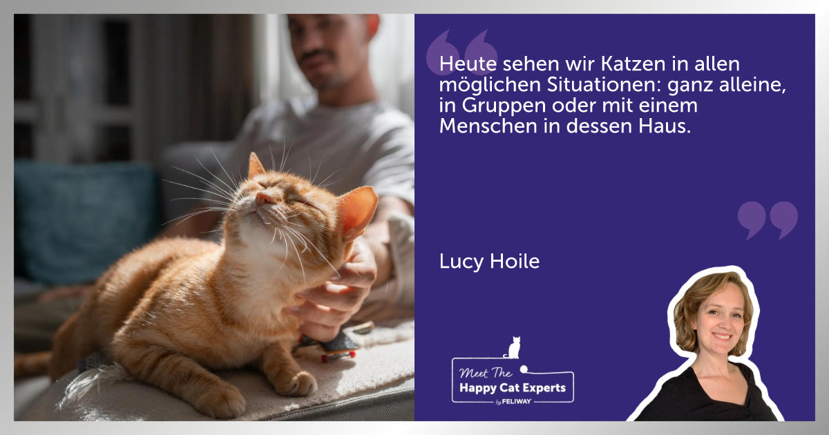 Domestikation und Verhaltensentwicklung bei Katzen: Eine Katzenexpertin erklärt!