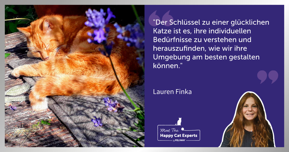 Die Persönlichkeit deiner Katze verstehen: Eine Katzenexpertin erklärt!