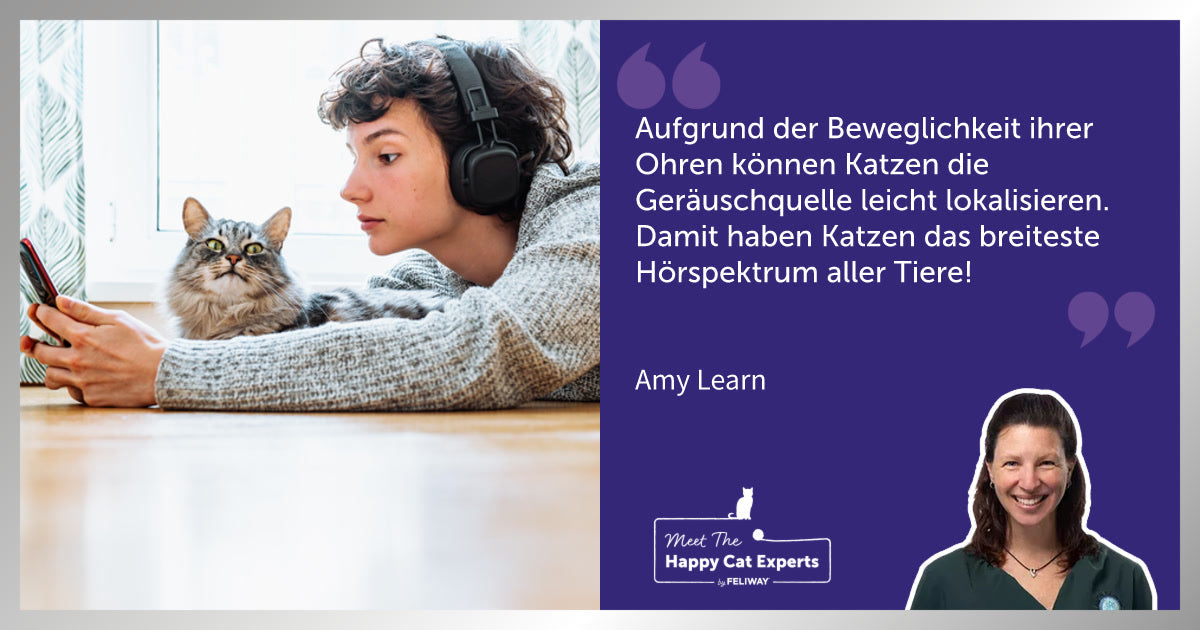Das Gehör einer Katze: Ein Katzenexpertin erklärt