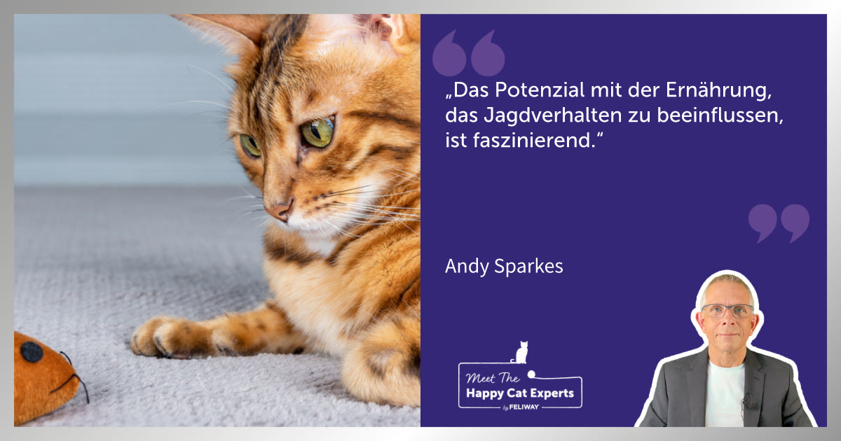 Wie hält man Katzen vom Jagen ab: Ein Katzenexperte erklärt!