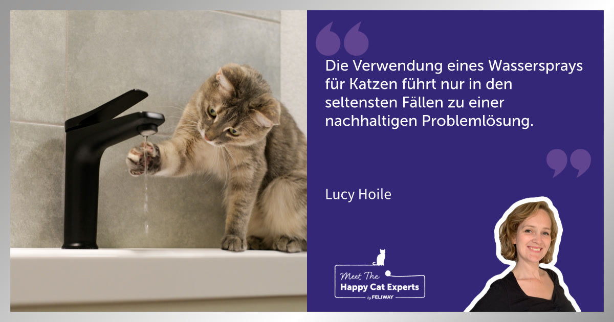Wasser als Erziehungsmittel bei Katzen? Eine Katzenexpertin erklärt!