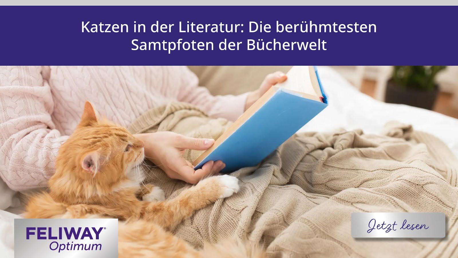 Eine rote Katze liegt auf einer Decke neben einem Menschen, der ein Buch liest.