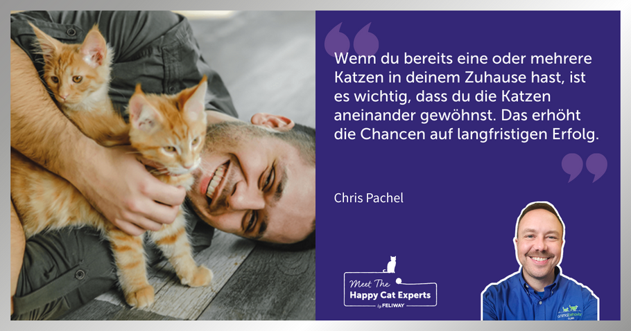 Katzenexperte Chis Pachel: Wie stelle ich eine neue Katze meiner alten Katze richtig vor?