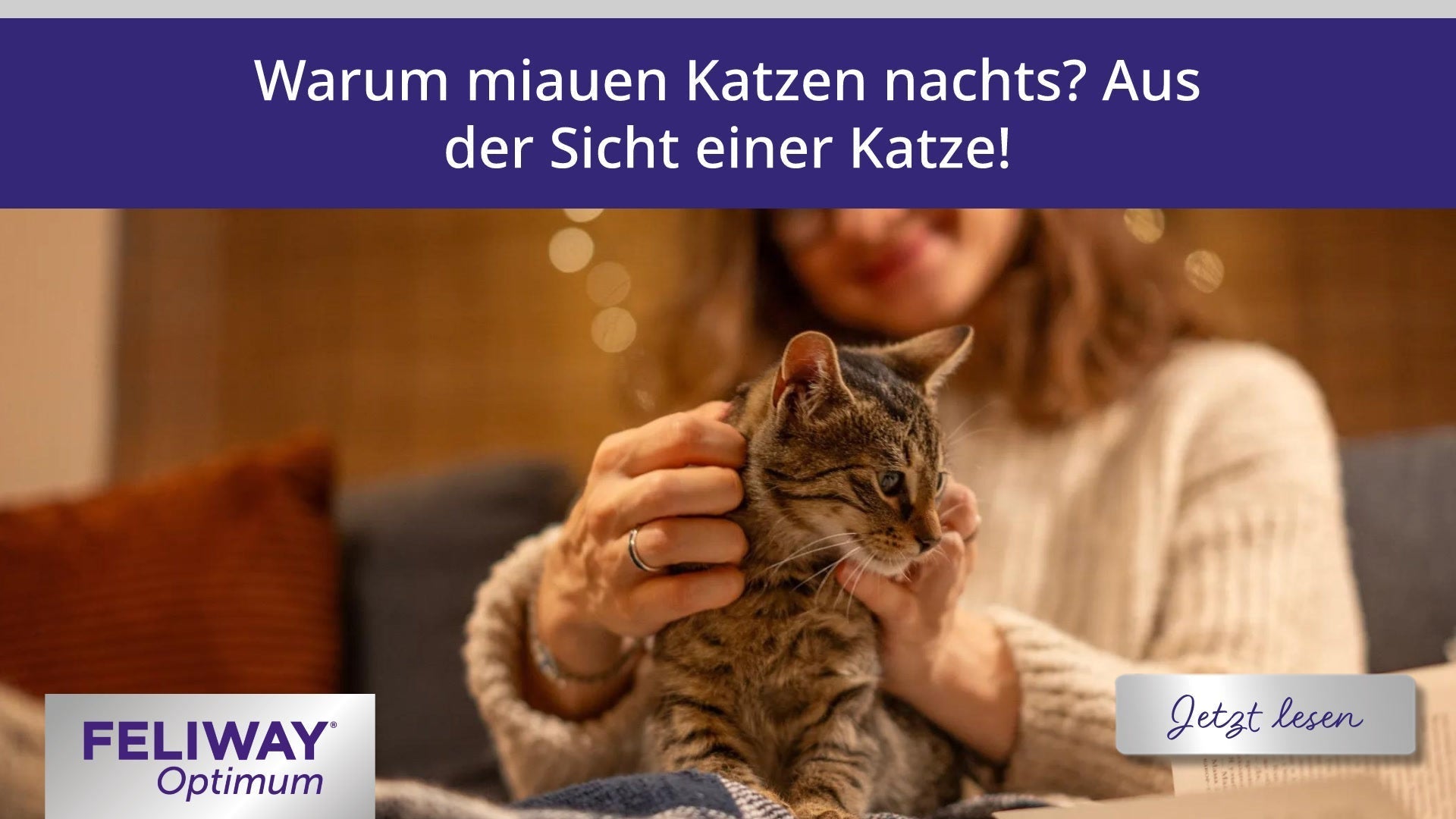 Warum miauen Katzen nachts? Aus der Sicht einer Katze!