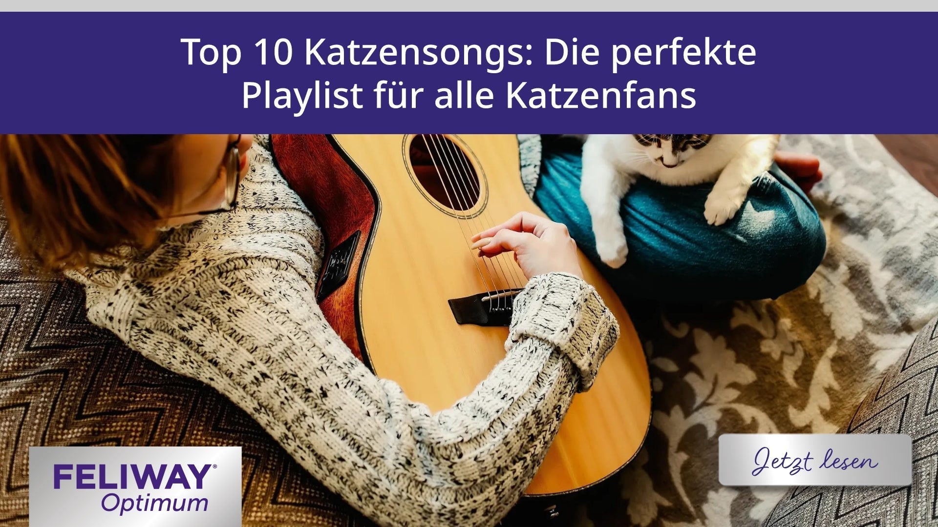 Top 10 Katzensongs: Die perfekte Playlist für alle Katzenfans