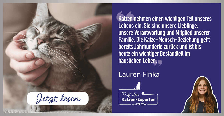 10 coole Fakten über Katzen von Katzenexpertin Lauren Finka