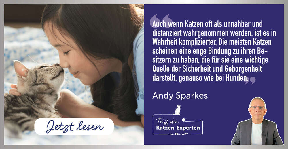 Andy Sparks - Sind Katzen unnahbar