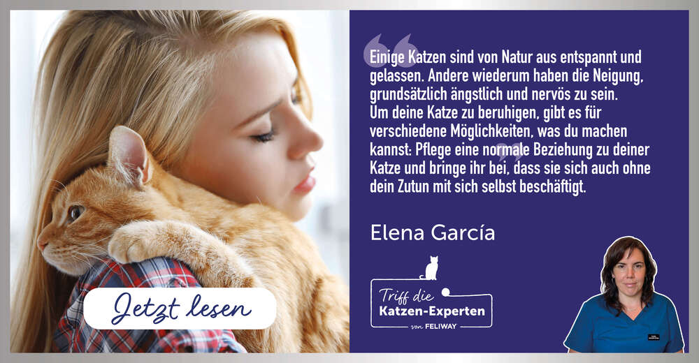 Elena Garcia - Hilfe für meine ängstliche Katze