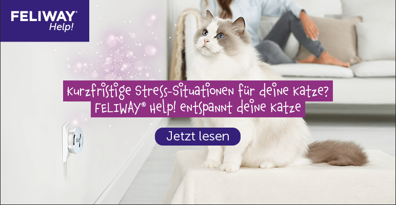 FELIWAY Help! für kurzfristige Stress-Situationen