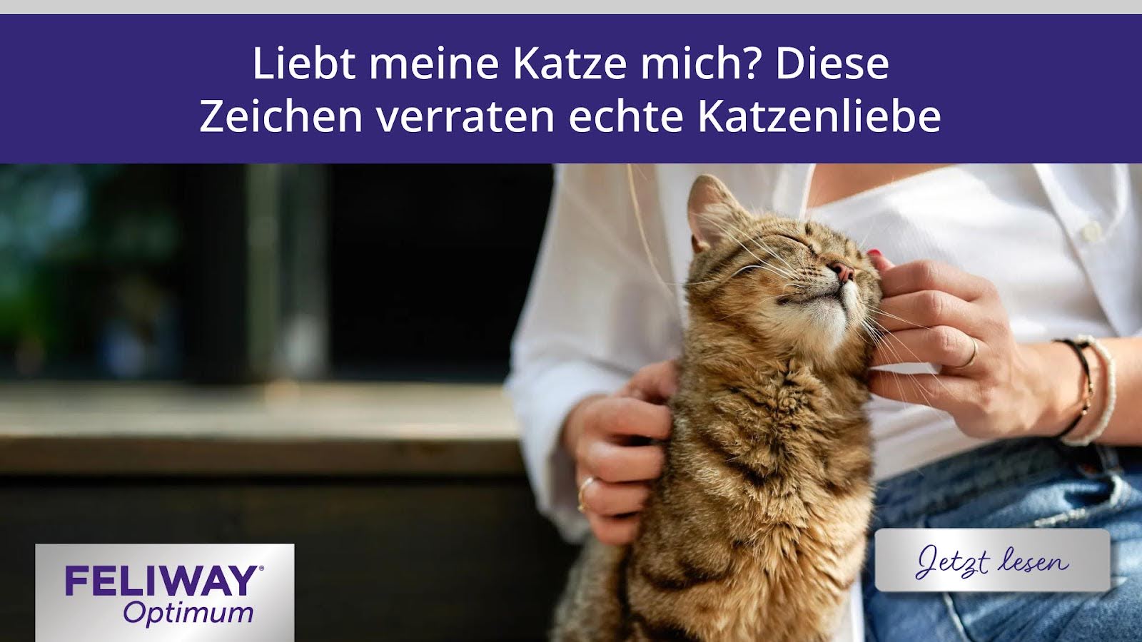 Eine liebevolle Katze reibt sich an der Hand einer Frau.