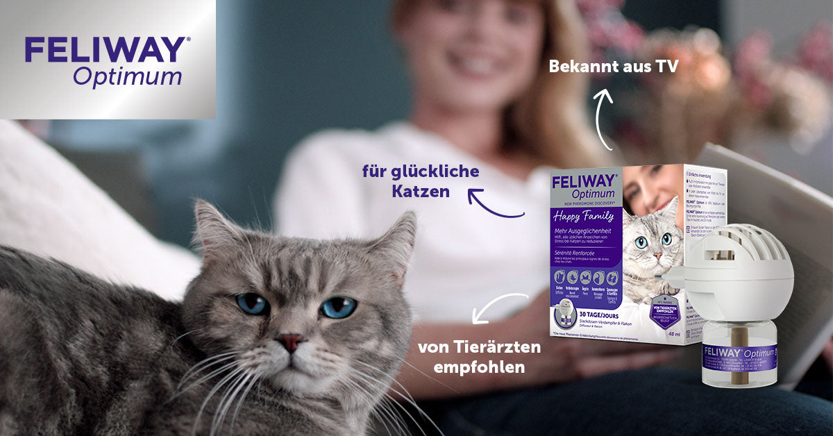 Video laden: Feliway Optimum für ausgeglichene &amp; glückliche Katzen