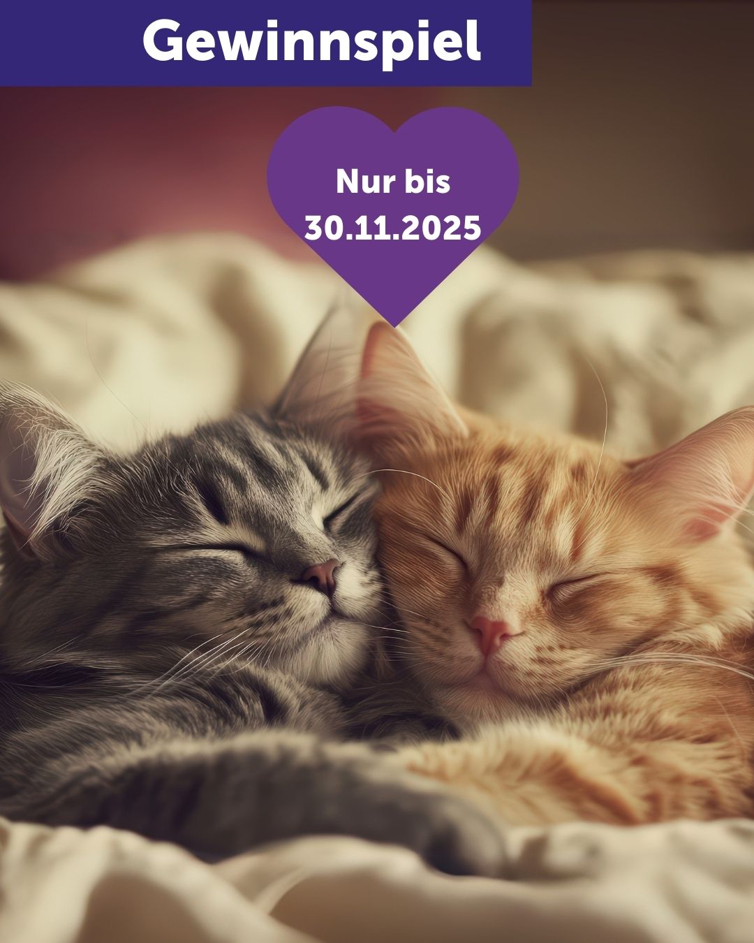 Herbst Gewinnspiel