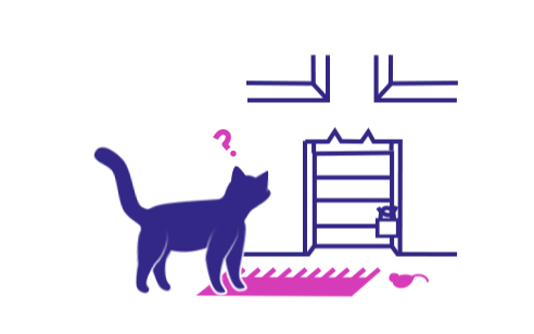 Katze steht vor geschlossener Katzenklappe