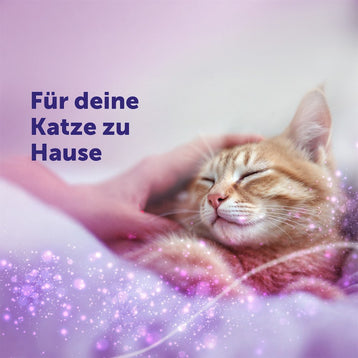FELIWAY Classic Verdampfer für deine Katze zuhause