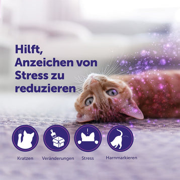FELIWAY Classic Verdampfer bei Anzeichen von Stress