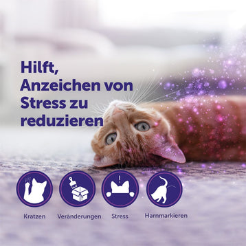 nachfüllflakon-30-tage-1x48-ml