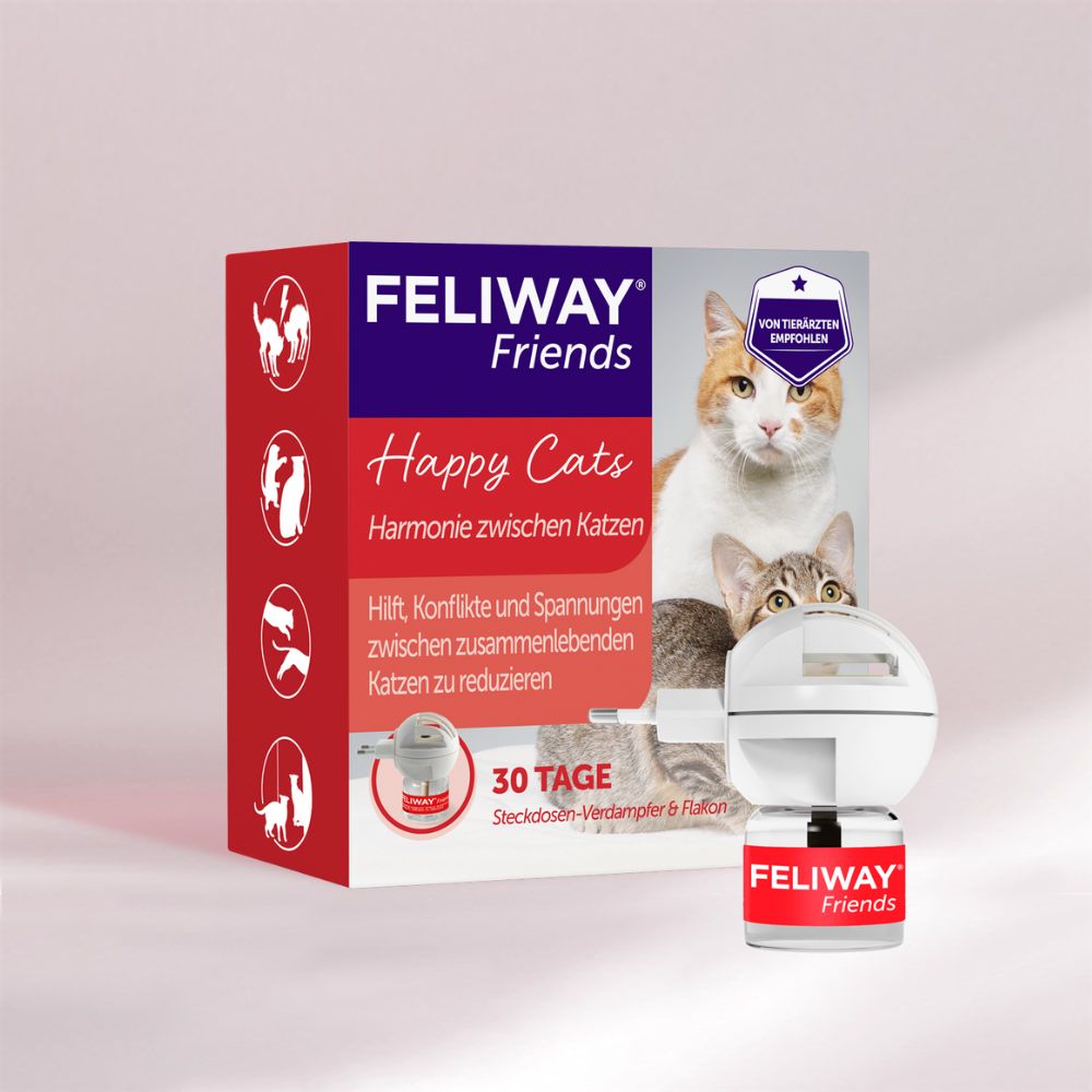 FELIWAY Friends hilft Konflikte zwischen Katzen zu reduzieren