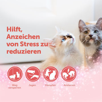 nachfüllflakon-48-ml