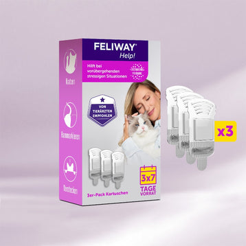 Feliway Help für vorübergehende Stress-Situationen