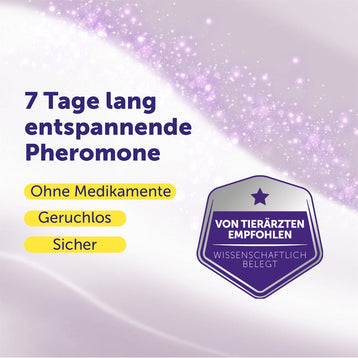 Feliway Help für vorübergehende Stress-Situationen