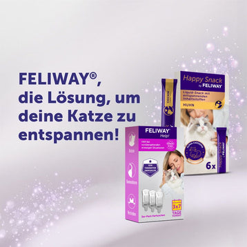 Feliway Help für vorübergehende Stress-Situationen