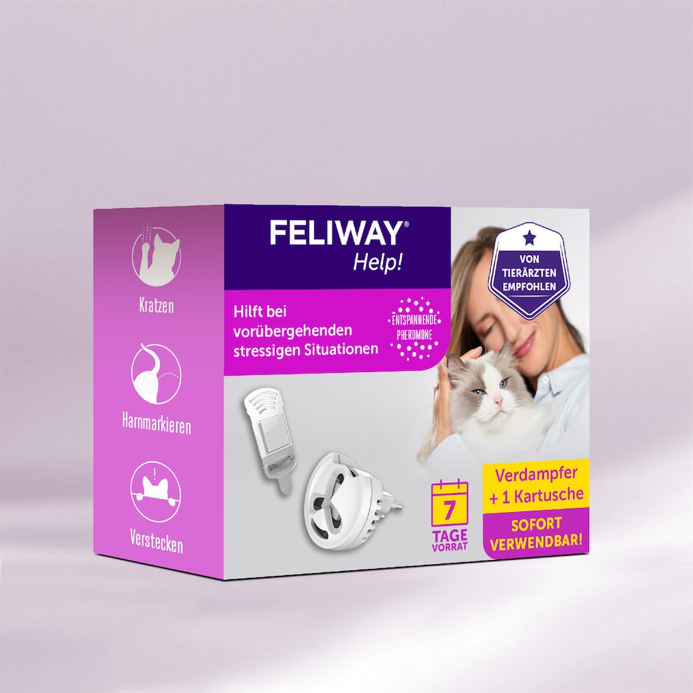 Feliway Help für vorübergehende Stress-Situationen