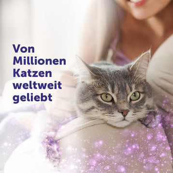 Feliway Help für vorübergehende Stress-Situationen