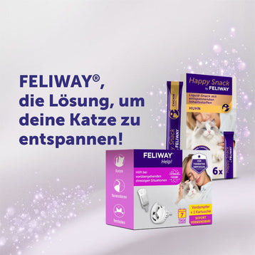 Feliway Help für vorübergehende Stress-Situationen