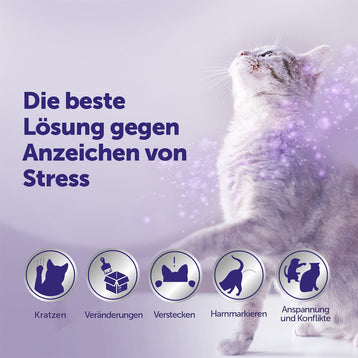 FELIWAY Optimum für mehr Ausgeglichenheit