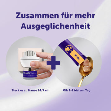 Die optimale Routine für Wohlbefinden - Huhn x24