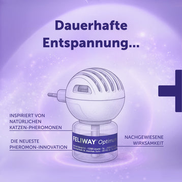 Die optimale Routine für Wohlbefinden - Huhn x24