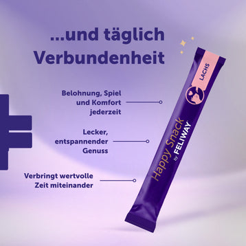 Die optimale Routine für Wohlbefinden - Lachs