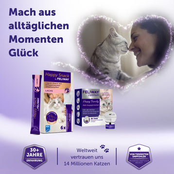 Die optimale Routine für Wohlbefinden - Lachs