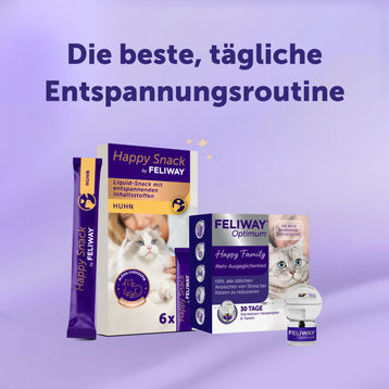 Die optimale Routine für Wohlbefinden - Huhn