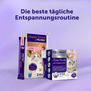 Die optimale Routine für Wohlbefinden - Lachs x24