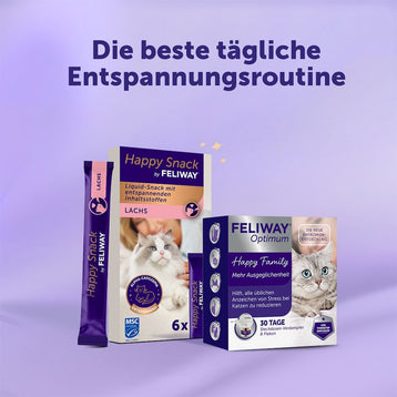 Die optimale Routine für Wohlbefinden - Lachs