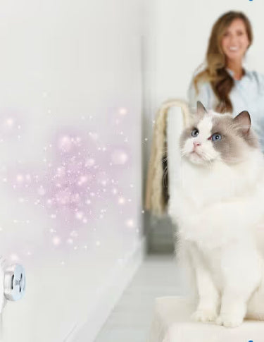 FELIWAY Help! angewendet in der Steckdose