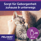 FELIWAY Classic Spray 20m
