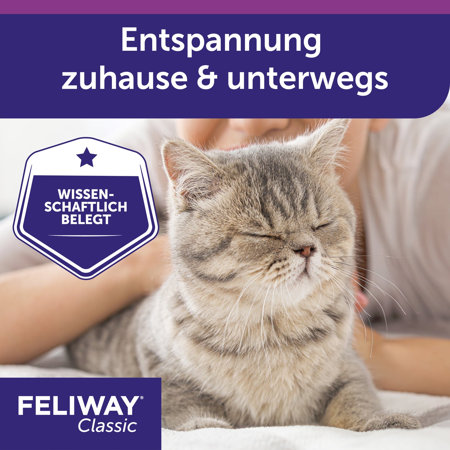 Die FELIWAY Classic Sprays können zur Entspannung unterwegs angewendet werden