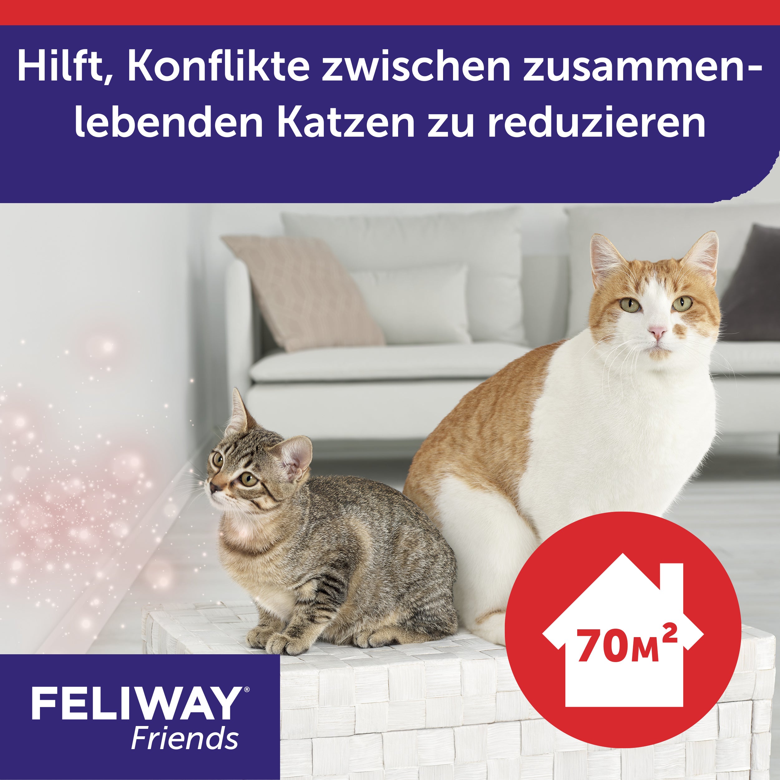 FELIWAY Friends hilft Konflikte zwischen Katzen zu reduzieren